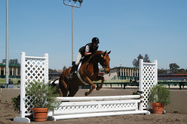 Cowboy at DelMar sale spring 2006